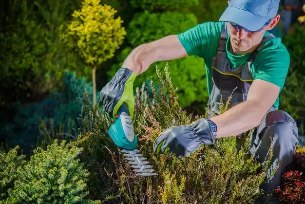 landscaping services Maple Ridge